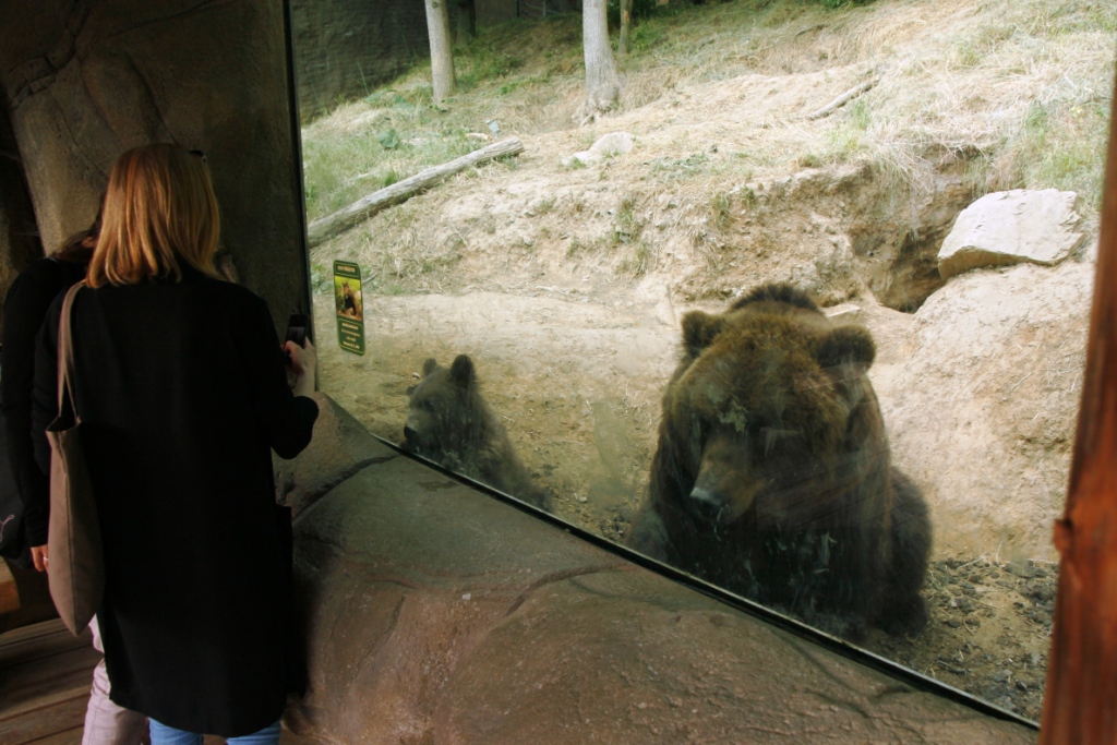 ZOO BRNO