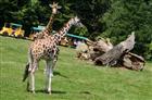 ZOO OSTRAVA