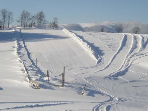 SKI AREL PROskil V BRANN