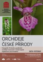 Orchideje esk prody 